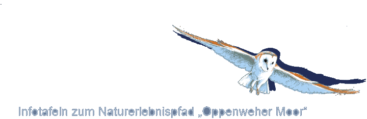 Infotafeln zum Naturerlebnispfad 'Oppenweher Moor'