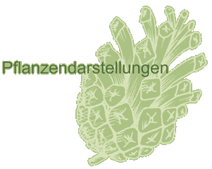 Pflanzendarstellungen