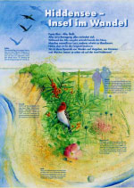 Hiddensee - Insel im Wandel